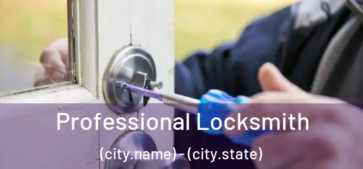 Professional Locksmith (city.name) - (city.state)