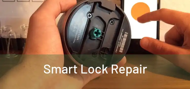 Smart Lock Repair